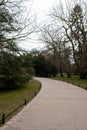 Empty wooden bench in the park on a cloudy day in autumn spring season. Public Olivia park in Gdansk Poland. City park Royalty Free Stock Photo