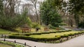 Empty wooden bench in the park on a cloudy day in autumn spring season. Public Olivia park in Gdansk Poland. City park Royalty Free Stock Photo