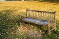 Empty Wooden Bench in Park at Sunset Royalty Free Stock Photo