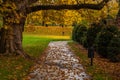 Empty wooden bench in a park surrounded with yellow leaves in Prague Royalty Free Stock Photo