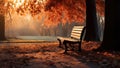 Empty wooden bench and road in autumn park at sunset Royalty Free Stock Photo