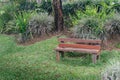 An empty wooden bench sits amidst a lush, leafy park