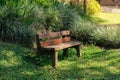 An empty wooden bench sits amidst a lush, leafy park