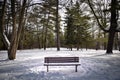 Empty wooden bench and snow on the grounds Royalty Free Stock Photo