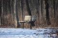 Wooden Bench in the Winter