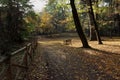 Empty wooden benches at a park with fallen leaves around trees during fall in Villa Belgiojoso Bonaparte garden Milan, Italy Royalty Free Stock Photo