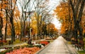 Empty wooden benches and picturesque autumn park Royalty Free Stock Photo