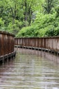 Empty wooden boardwalk bridge trail path through the wooded forest park on rainy summer day Royalty Free Stock Photo