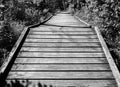 Empty wooden boardwalk trail path winding through the wooded forest park on Autumn morning Royalty Free Stock Photo