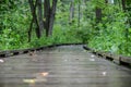 Empty wooden boardwalk trail path winding through the wooded forest park on a rainy Autumn morning Royalty Free Stock Photo