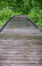 Empty wooden boardwalk trail path winding through the wooded forest park on a rainy Autumn morning Royalty Free Stock Photo