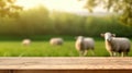 The empty wooden brown table top with blur background of sheep pasture. Exuberant.