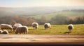 The empty wooden brown table top with blur background of sheep pasture. Exuberant.