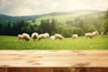 The empty wooden brown table top with blur background of sheep pasture. Exuberant.