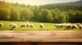 The empty wooden brown table top with blur background of sheep pasture. Exuberant.