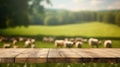 The empty wooden brown table top with blur background of sheep pasture. Exuberant.
