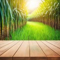 The empty wooden brown table top with blur background of sugarcane image