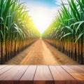 The empty wooden brown table top with blur background of sugarcane image