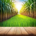 The empty wooden brown table top with blur background of sugarcane image
