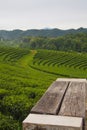 An empty wooden chair set in a green tea plantation is a row near the mountain Royalty Free Stock Photo