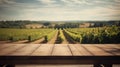 An empty wooden counter table top for product display showcase stage in a french vineyard. Generative AI Royalty Free Stock Photo