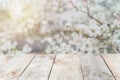 Empty wooden deck table with foliage and white blossoming tree bokeh background, copy space for product display Royalty Free Stock Photo