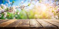 Empty wooden deck table over blooming tree bokeh background for product montage display. Spring concept Royalty Free Stock Photo