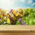 Empty wooden deck table over flowers bokeh background for product montage display. Spring or summer season Royalty Free Stock Photo