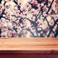 Empty wooden deck table over spring blossom flowers bokeh background Royalty Free Stock Photo