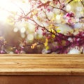 Empty wooden deck table over spring blossom tree background for product montage Royalty Free Stock Photo