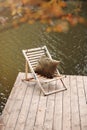 Empty wooden dock on calm lake on cool cloudy fall day with lonely folding chair Royalty Free Stock Photo