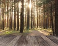 Empty wooden flooring on blurry forest background