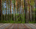 Empty wooden flooring on blurry forest background