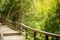 Empty wooden pathway bridge in tropical forest with exotic trees and foliage background