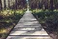 Empty wooden pathway in the woods Royalty Free Stock Photo