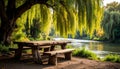 Empty wooden picnic table and bench by flowing river under weeping willow rustic outdoor Royalty Free Stock Photo