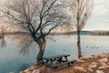 Empty wooden picnic table next to trees by the Blue Lake I Mavi Gol in autumn in Ankara. Ducks swimming in the lake. Seasonal scen Royalty Free Stock Photo