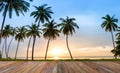 Landscape of sea coast, Coconut palms on tropical beach at sunset background Royalty Free Stock Photo