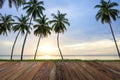 Empty wooden pier on Sea coast, Coconut palms on tropical beach Royalty Free Stock Photo
