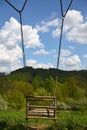 Empty wooden rope swing in nature