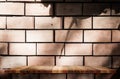 Empty wooden shelfs on orange brick wall with shadow of tree, Mo