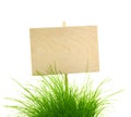 Empty Wooden Sign with Fresh Green Grass / isolated on white Royalty Free Stock Photo