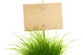 Empty wooden Sign with green Grass Royalty Free Stock Photo