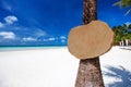 Empty wooden signboard on the palm tree on tropical beach Royalty Free Stock Photo