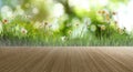 Empty wooden surface and blurred view of beautiful blooming chamomiles in green meadow. Bokeh effect Royalty Free Stock Photo