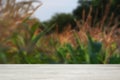Empty wooden surface and view of beautiful corn field. Space for text Royalty Free Stock Photo