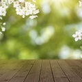 Empty wooden surface under spring tree branches with beautiful flowers against blurred green background Royalty Free Stock Photo