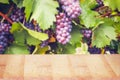 Empty wooden table on the background of blurred vineyard Royalty Free Stock Photo