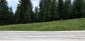 Empty wooden table and beautiful conifer forest