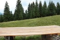 Empty wooden table and beautiful conifer forest